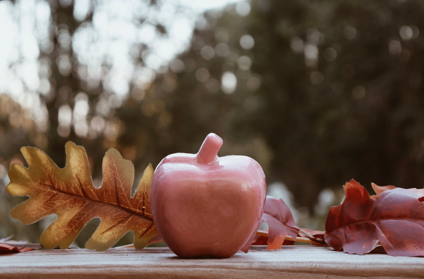 Autumn Collection - Cinnamon Apple (4.5oz)