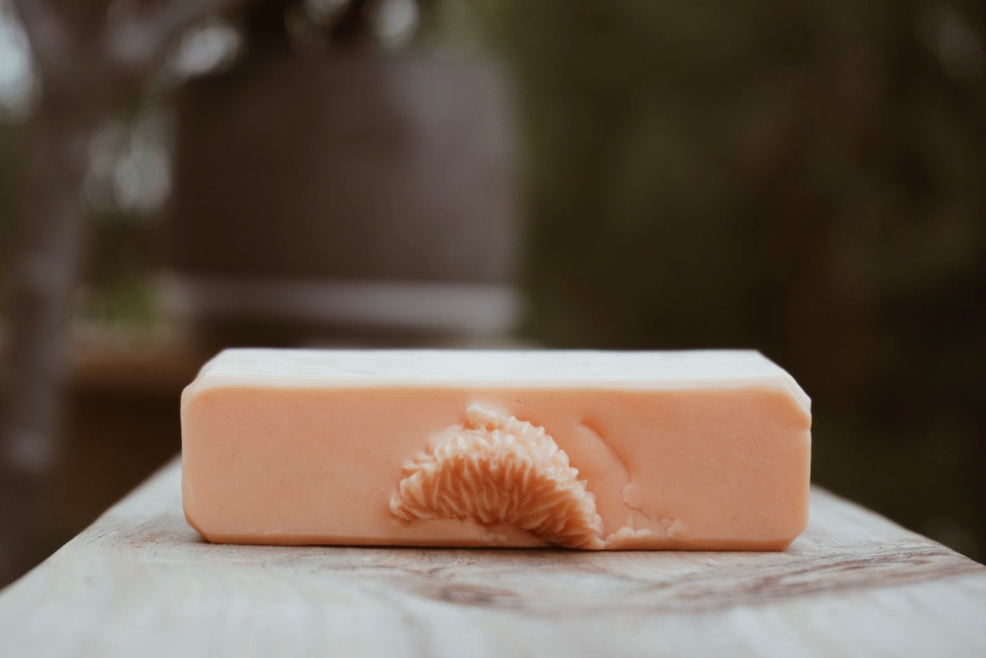 Citrus Comfort Soap Bar (4oz)