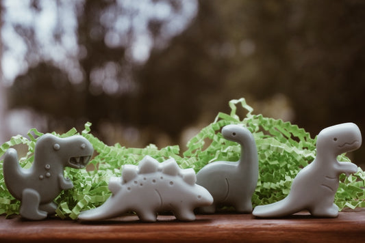 Jurassic Suds- Pine Needle & Sweet Orange